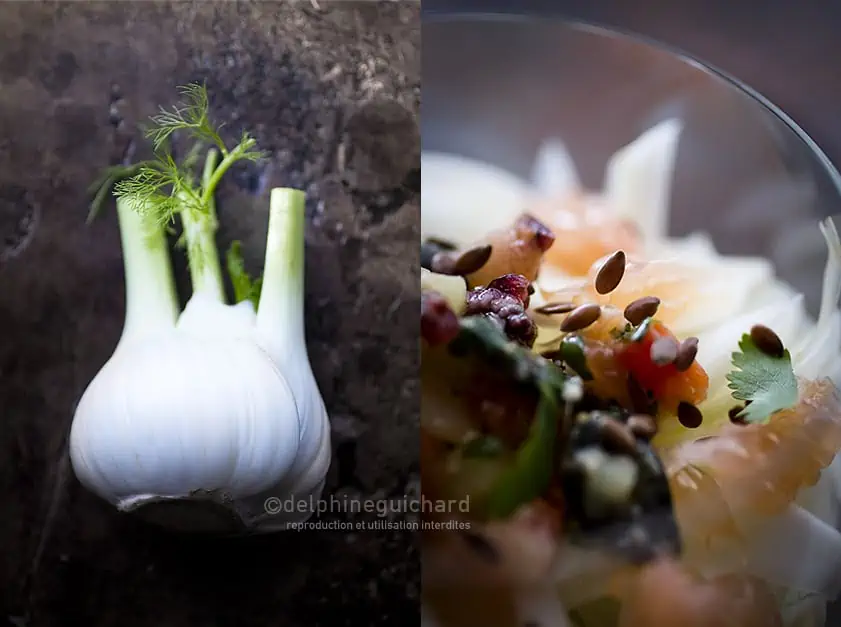 Salade de fenouil, brunoise de légumes marinés aux graines, agrumes et cranberries - Fennel salad with small vegetables marinated in the cumin and the seeds of gourd