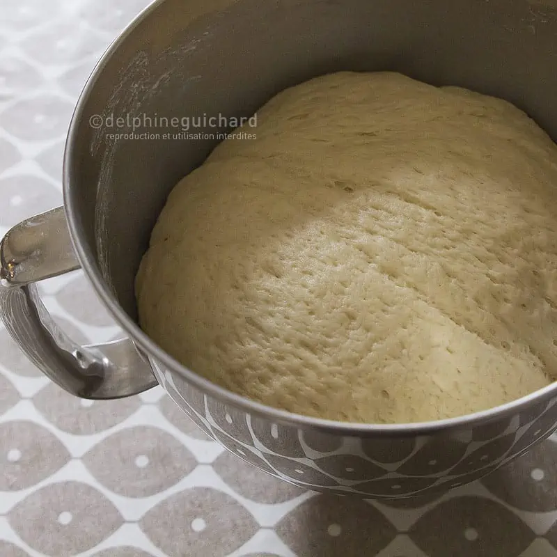Une jolie brioche gourmande à la crème pâtissière et aux raisins, en version végétalienne