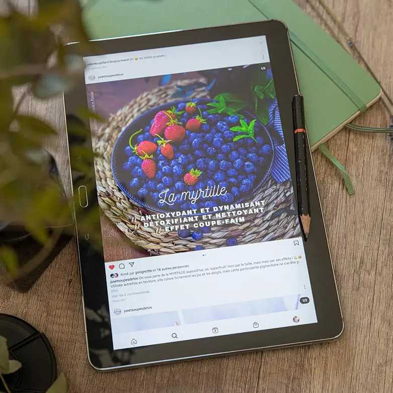 Publication sur la myrtilles, Jus et soupes détox l'ebook