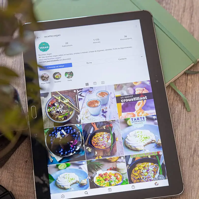 La page Instagram de recettes-vegan.fr